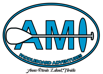 AMI Paddle Board